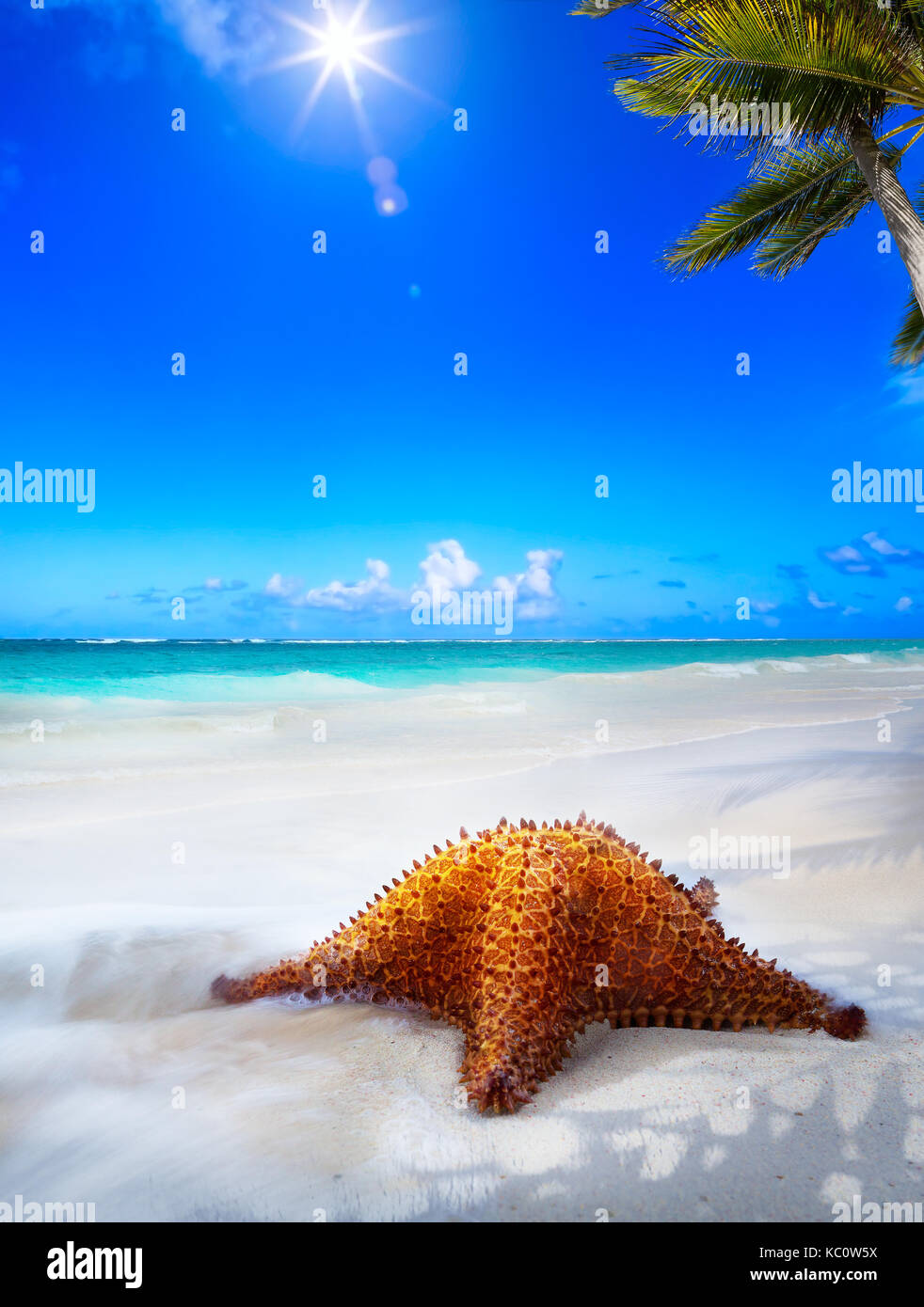 Arte bella spiaggia del mare su un isola dei Caraibi Foto Stock