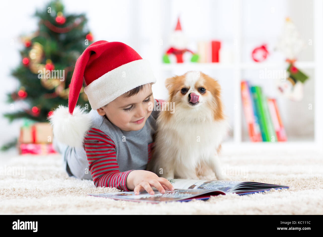 Little Boy leggendo un libro e cane giacente in corrispondenza dell albero di Natale Foto Stock