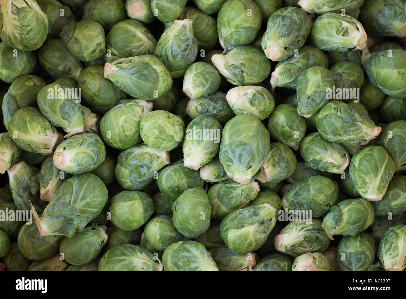 I cavoli di Bruxelles di pelo verde fresca verdura sfondo farmers market , piccola cavoli cappucci Foto Stock