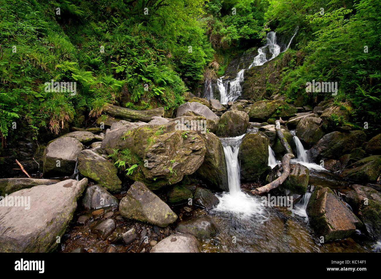 Cascata Torc, Parco Nazionale di Killarney, nella contea di Kerry, Irlanda Foto Stock