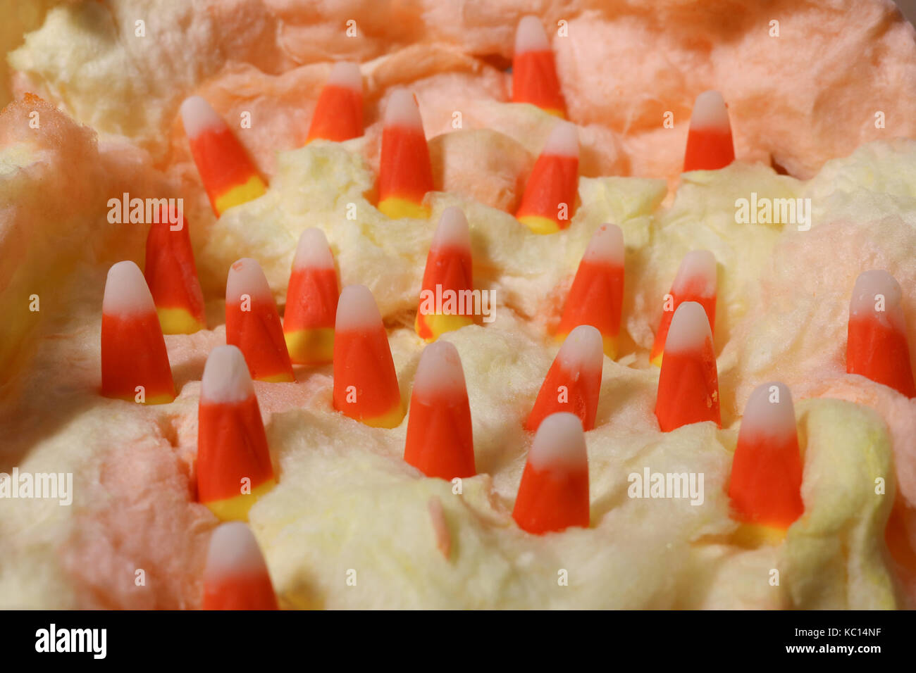 Cereali caramellati foresta con caramella di cotone Foto Stock