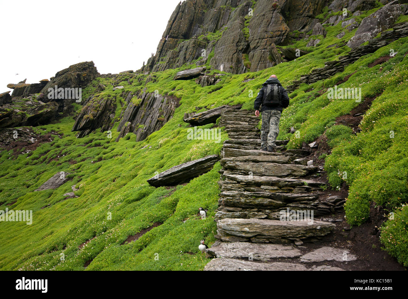 Persone escursionismo in Skellig Michael Island, nella contea di Kerry, Irlanda Foto Stock