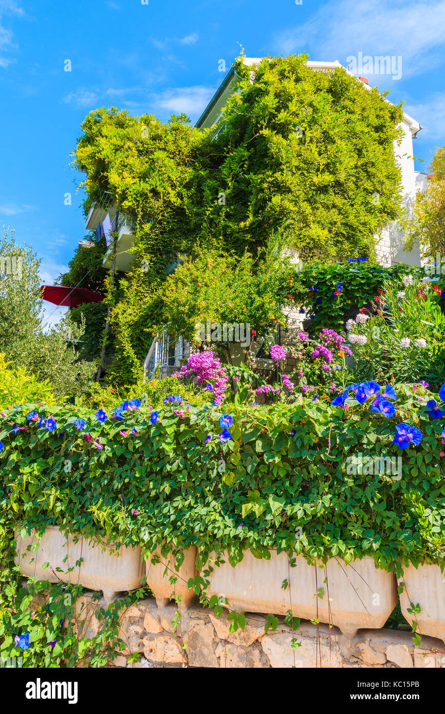 Casa coperte con piante verdi e fiori sulla costa della Croazia vicino a Primošten città Foto Stock