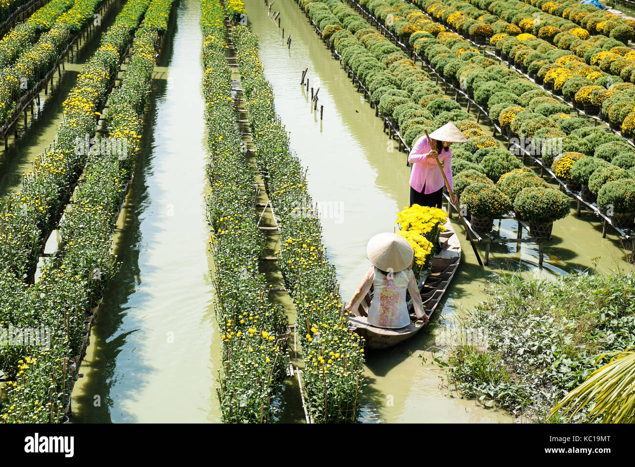 Due signore con abito tradizionale (ao ba ba) sono in una barca presso il galleggiamento di campo dei fiori in sa dec, Dong Thap, Vietnam. Foto Stock