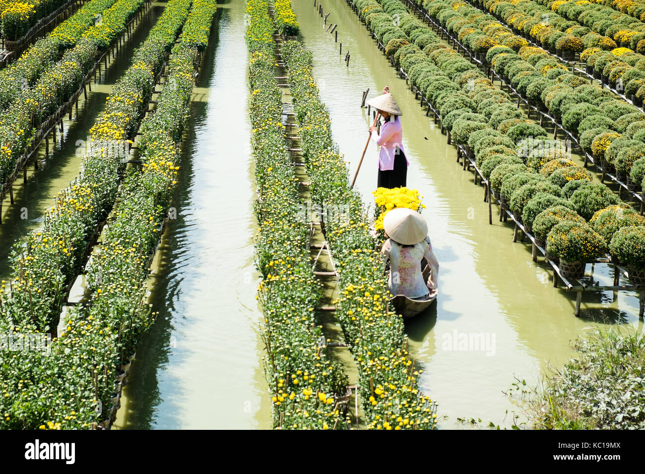 Due signore con abito tradizionale (ao ba ba) sono in una barca presso il galleggiamento di campo dei fiori in sa dec, Dong Thap, Vietnam. Foto Stock