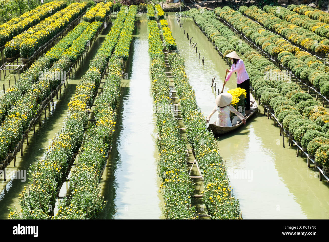 Due signore con abito tradizionale (ao ba ba) sono in una barca presso il galleggiamento di campo dei fiori in sa dec, Dong Thap, Vietnam. Foto Stock