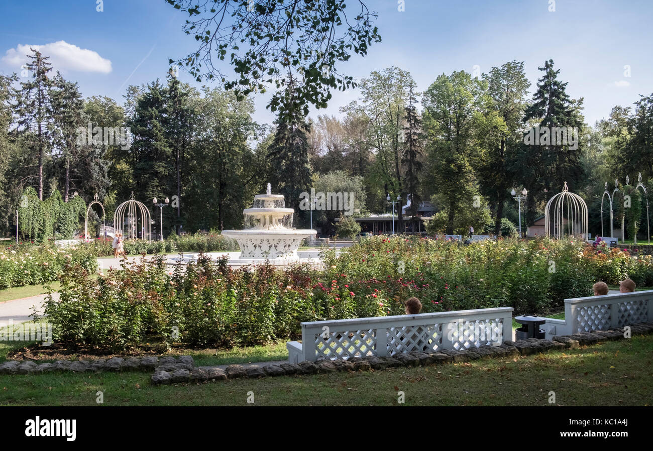 Formale giardino di rose e la fontana all'interno Gorkey Park (AKA Central Park di riposo e cultura), 9, Krymskiy Val, Mosca, 117049, Russia. Foto Stock