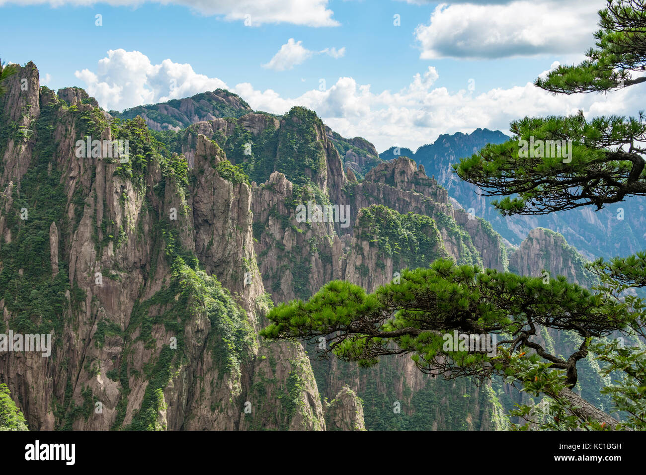 Xihai Grand Canyon, gialle di montagna, Huangshan, Cina Foto Stock