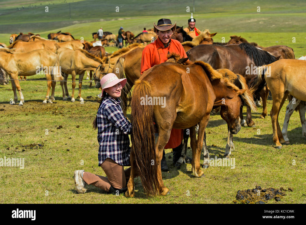 Giovane donna mongola mungitura un mare vicino a erdenet, Mongolia Foto Stock