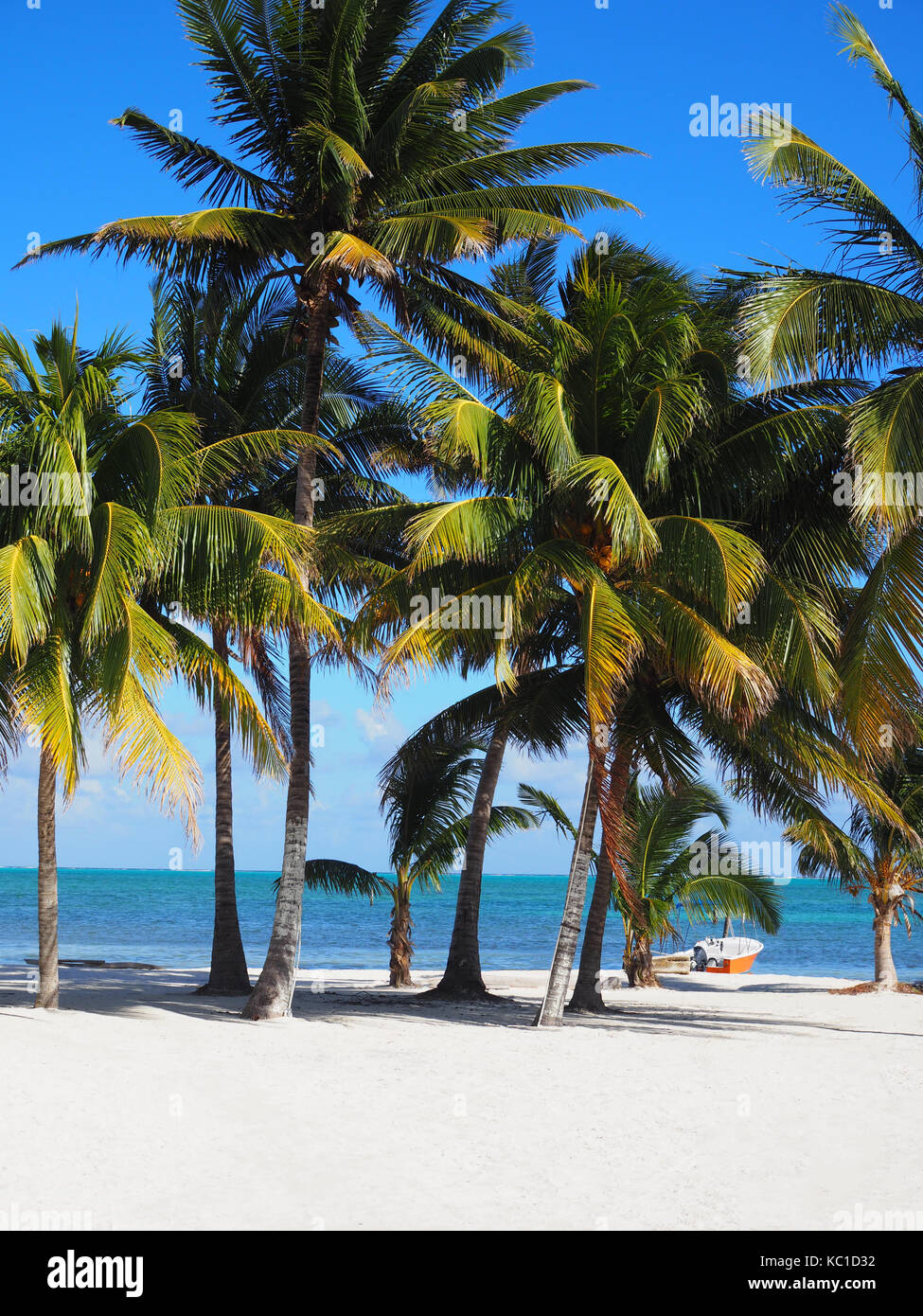 Spiaggia - Caye Caulker, Belize Foto Stock
