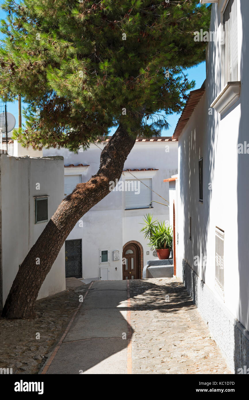 Le case tradizionali nelle antiche boffe distretto di Anacapri sull'isola di Capri, Italia. Foto Stock