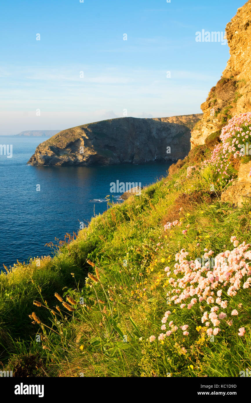 Sole serale sulla costa a nord di scogliere vicino portreath in Cornovaglia, Inghilterra, Regno Unito. Foto Stock