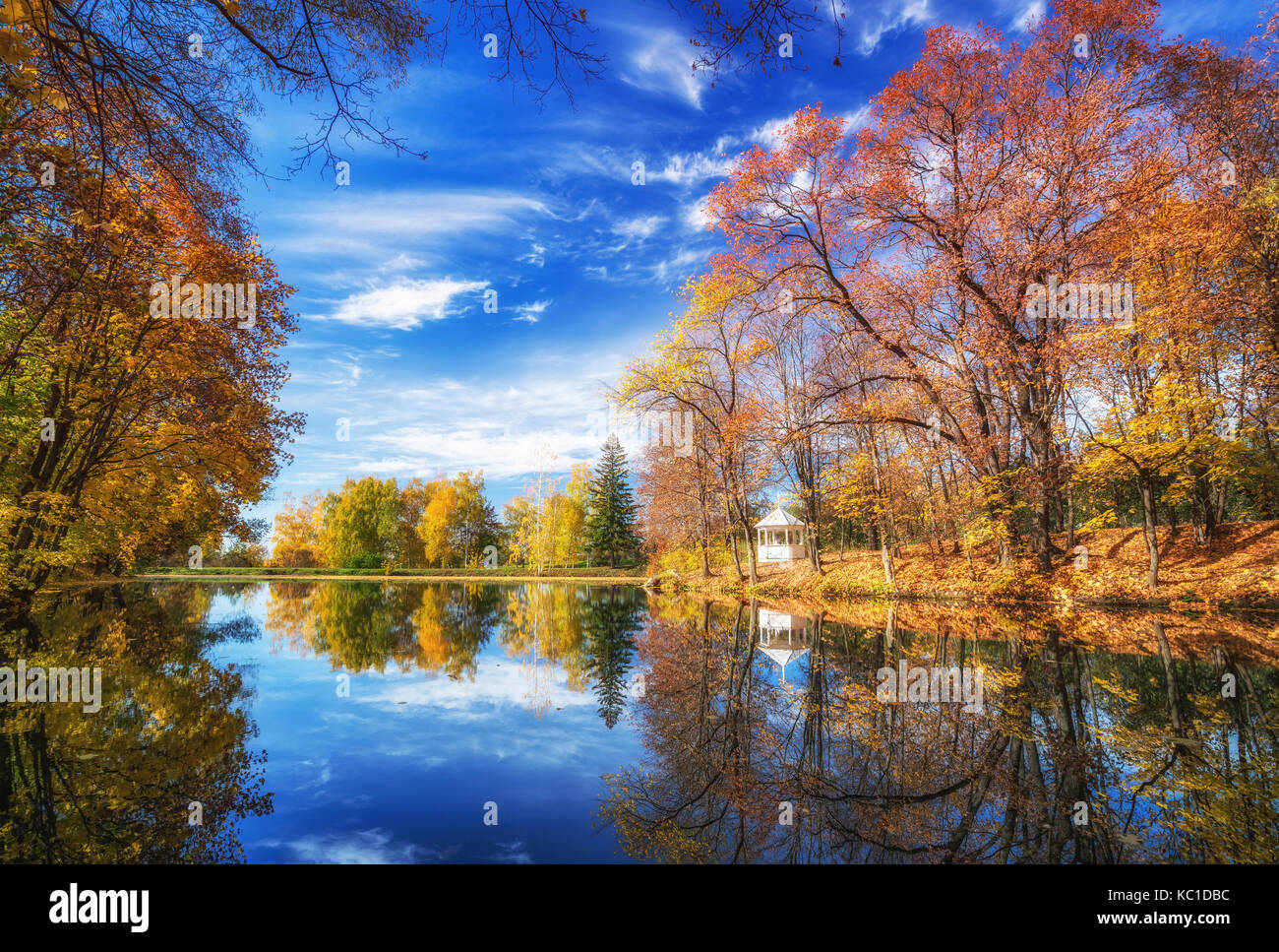 Sunny Autunno nel parco sul lago Foto Stock