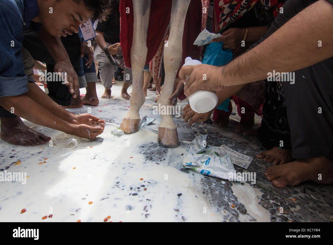 Un enorme corteo di Muharram Credito: Azim Khan Ronnie/Alamy Live News Foto Stock