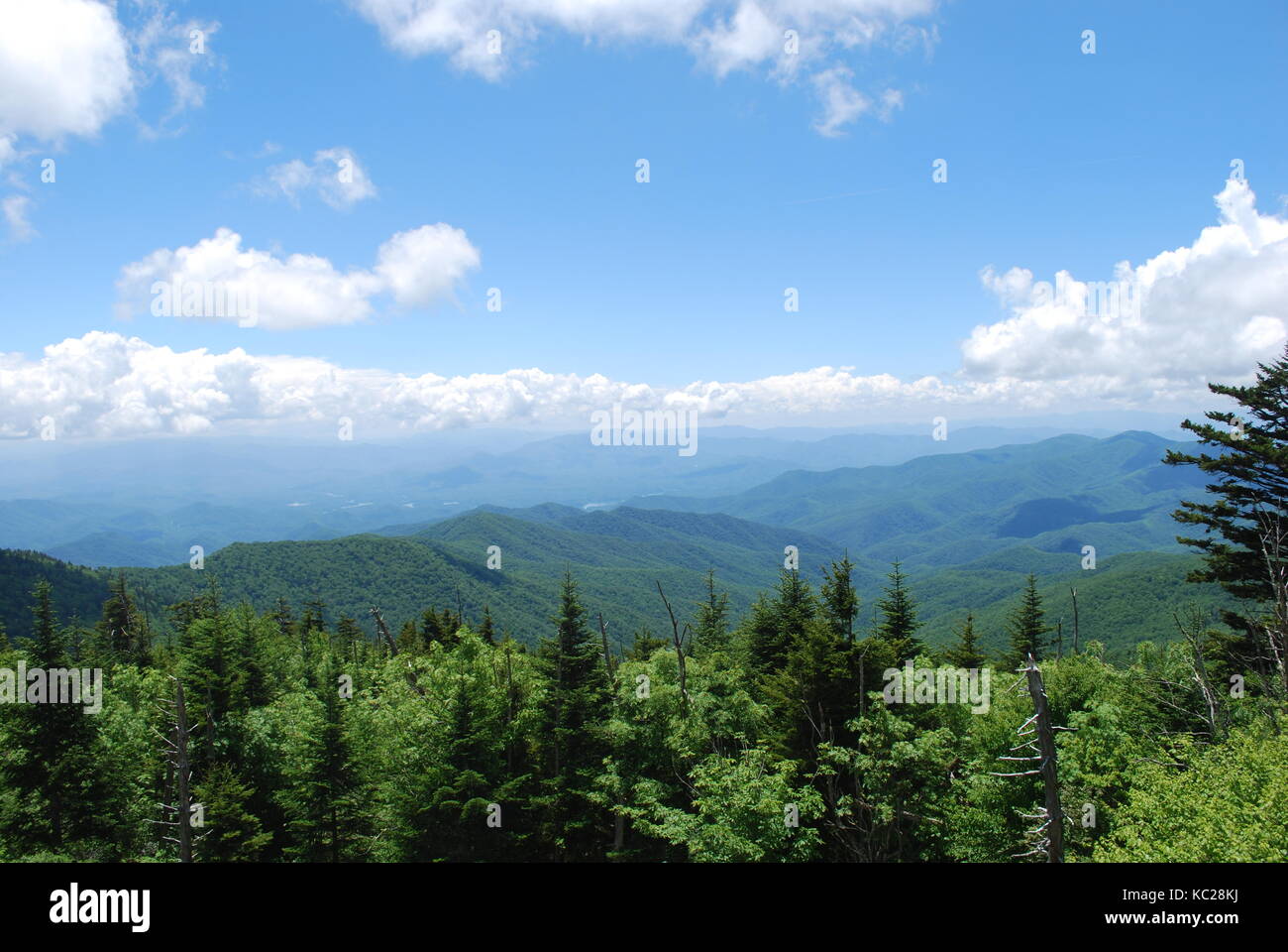 Vista dalla cima della montagna con alberi di pino cielo blu e nuvole bianche. bellissimo pianeta Foto Stock