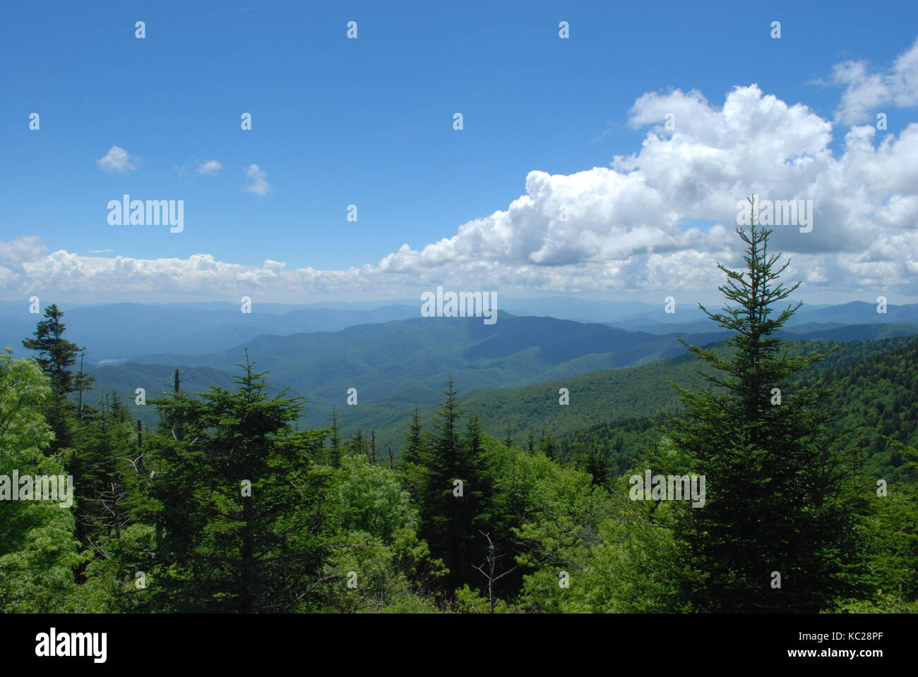 Vista sulla foresta con le montagne sullo sfondo. bellissimo pianeta Foto Stock