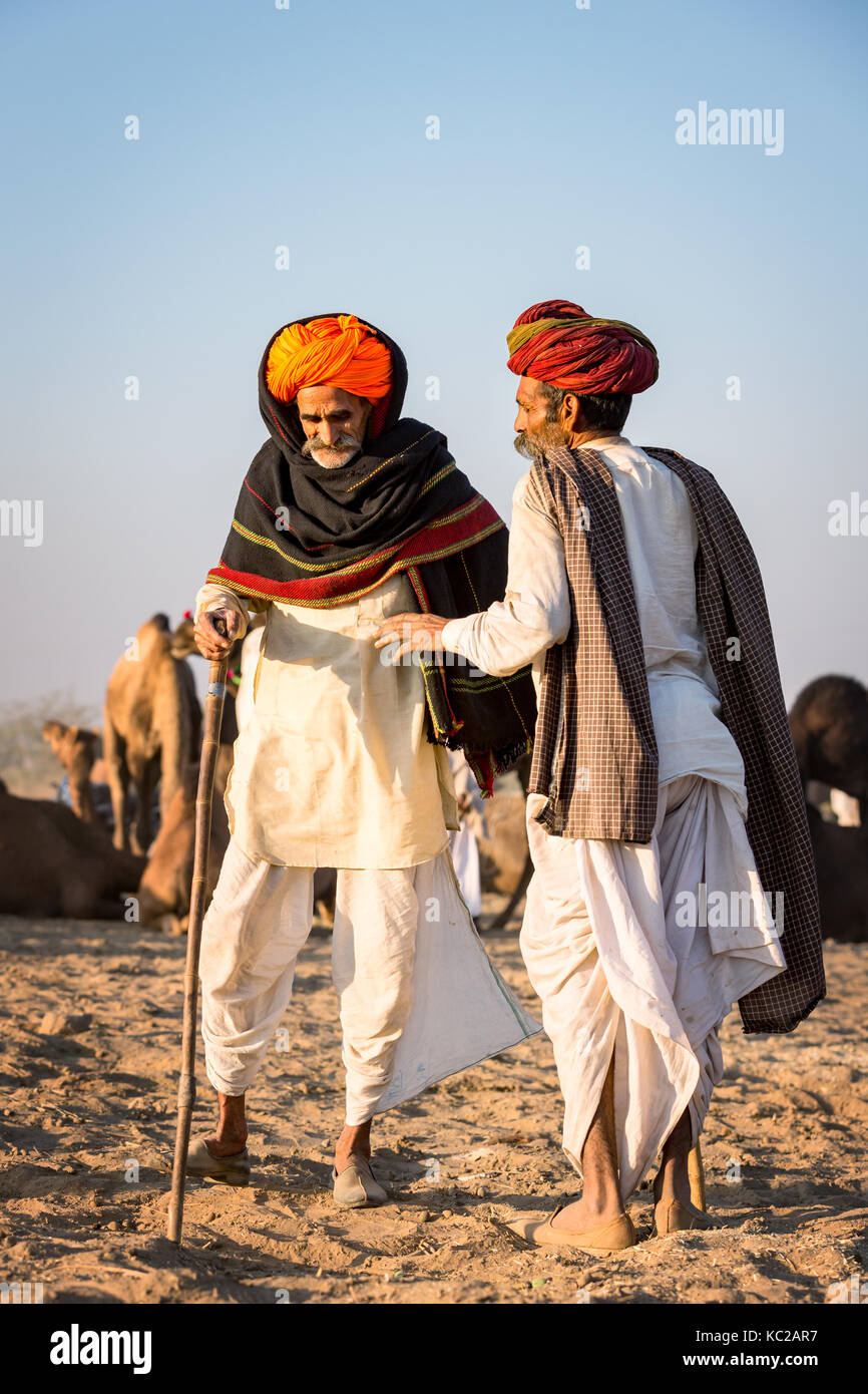 Due uomini con i cammelli a Pushkar Mela camel fair, Pushkar, Rajasthan, India Foto Stock