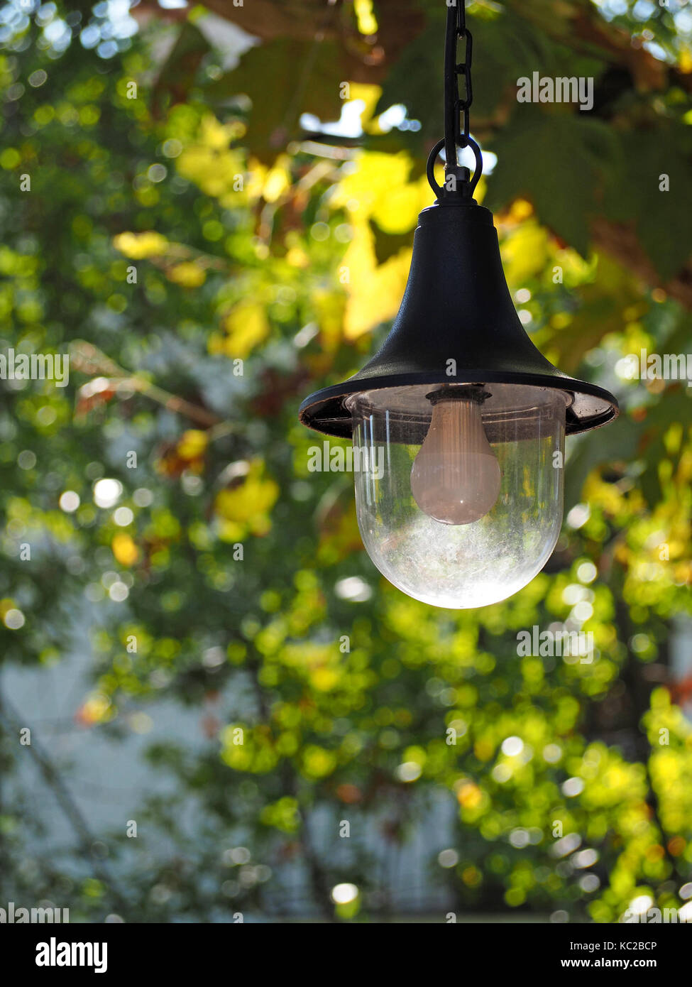 Lampada da esterni cattura la luce con sfondo retroilluminato di fogliame verde di Londra Plane Tree (platanus acerifolia ×) inTuscany Italia Foto Stock