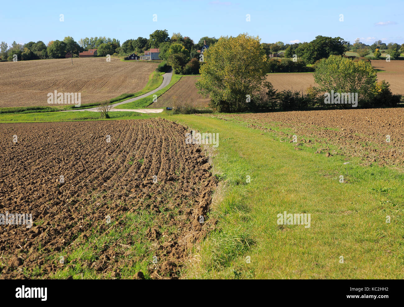 Rural inizio autunno paesaggio erpicò campo e percorso, Monewden, Suffolk, Inghilterra, Regno Unito Foto Stock