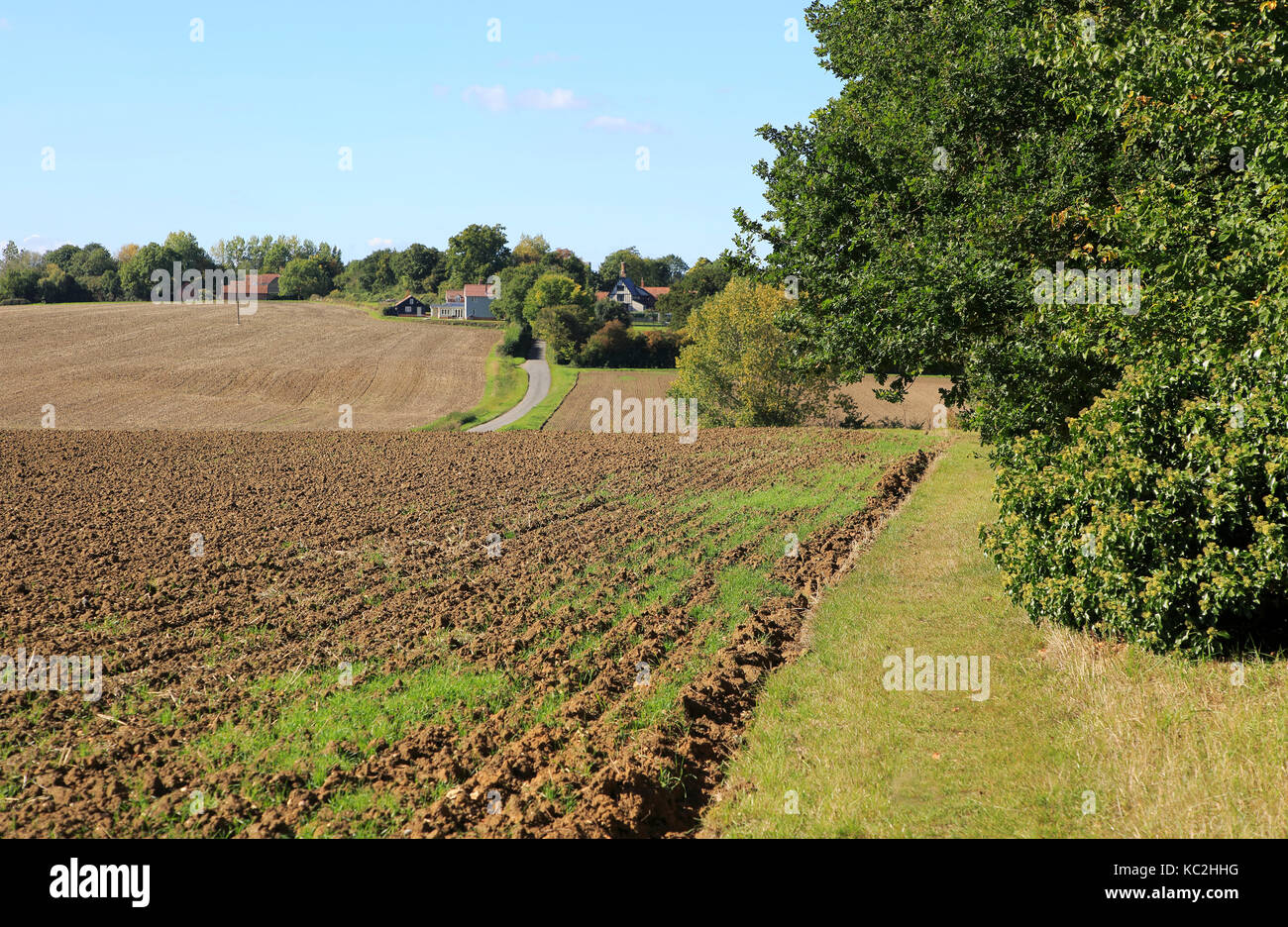 Rural inizio autunno paesaggio erpicò campo e percorso, Monewden, Suffolk, Inghilterra, Regno Unito Foto Stock