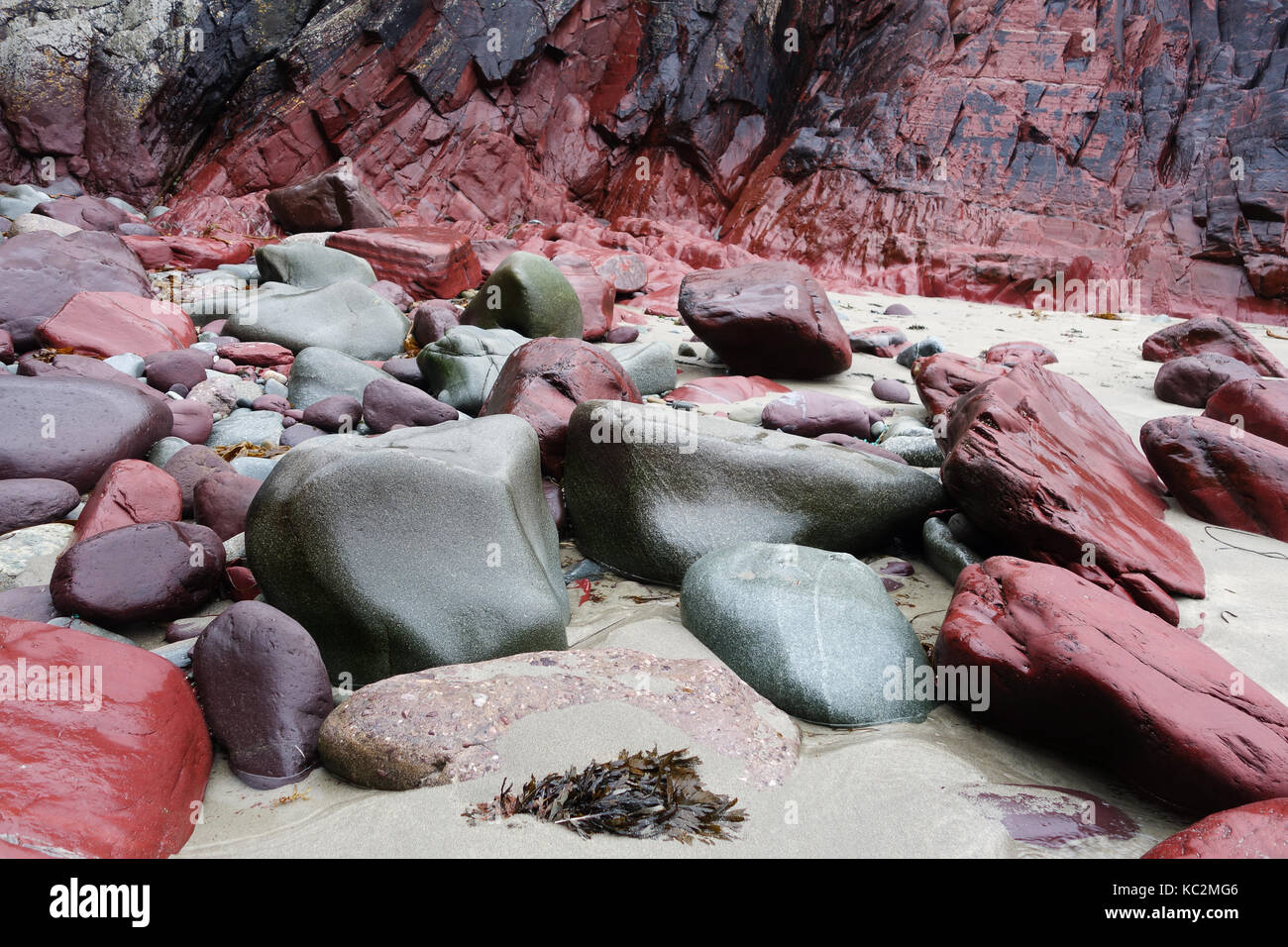 Rosso e verde rocce di pietra a Caerfai Bay vicino a St Davids in Pembrokeshire, West Wales, Regno Unito Foto Stock