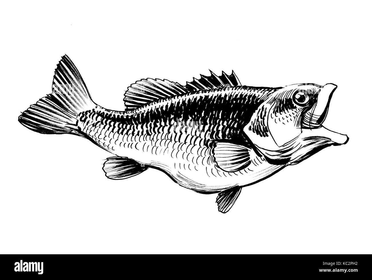 Linchiostro In Bianco E Nero Di Disegno Di Un Pesce