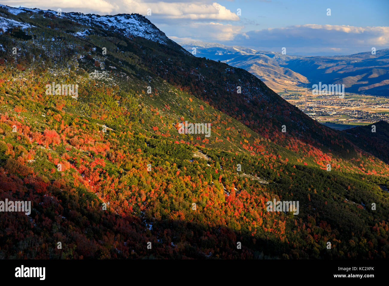 Il sole di setting faretti di aceri rossi sulla collina sopra Midway, Utah, Stati Uniti d'America. Questa guarda a est da Pino Valley Drive. Foto Stock