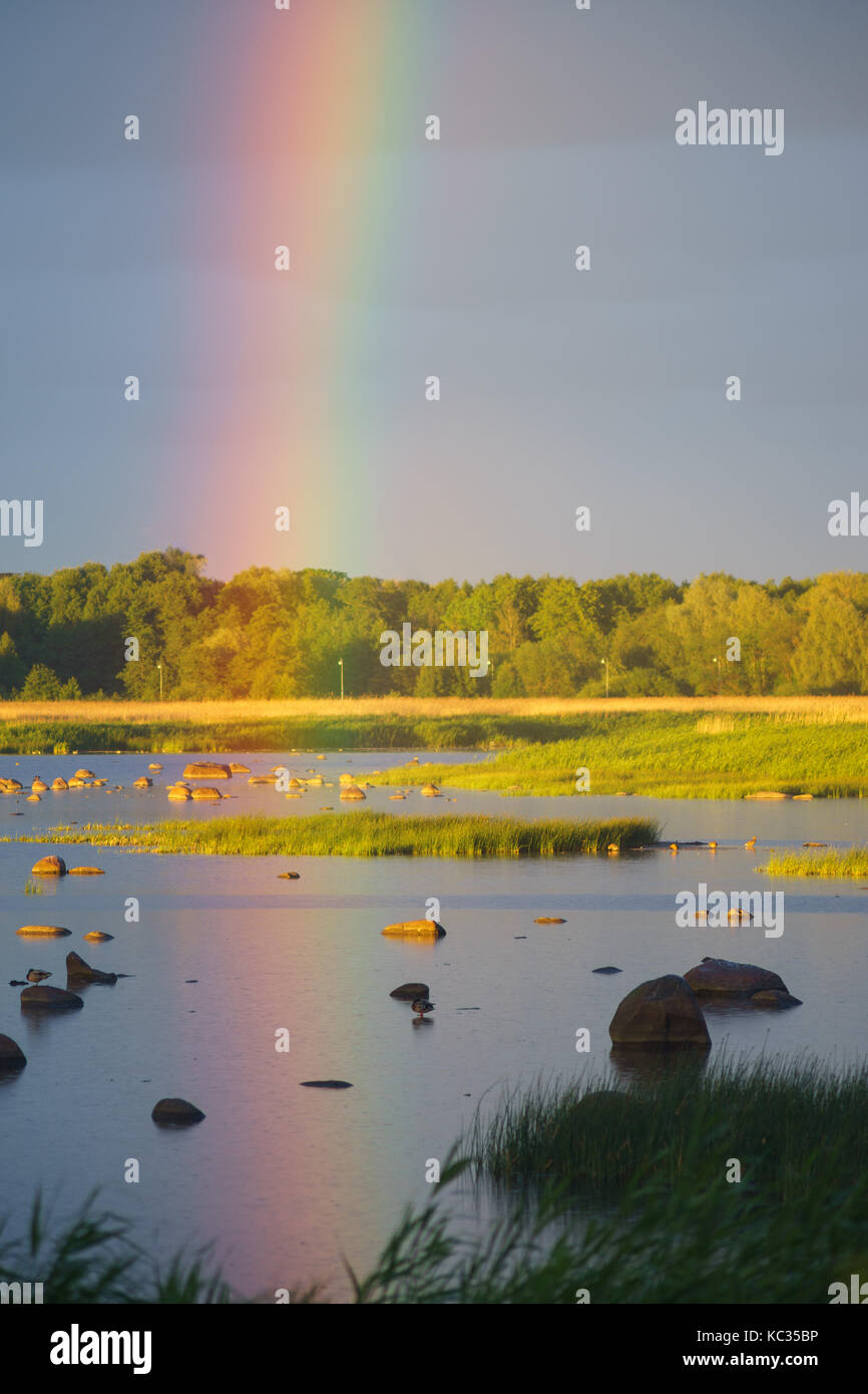 Rainbow su sassoso ed erboso seacoast nella luce del tramonto Foto Stock