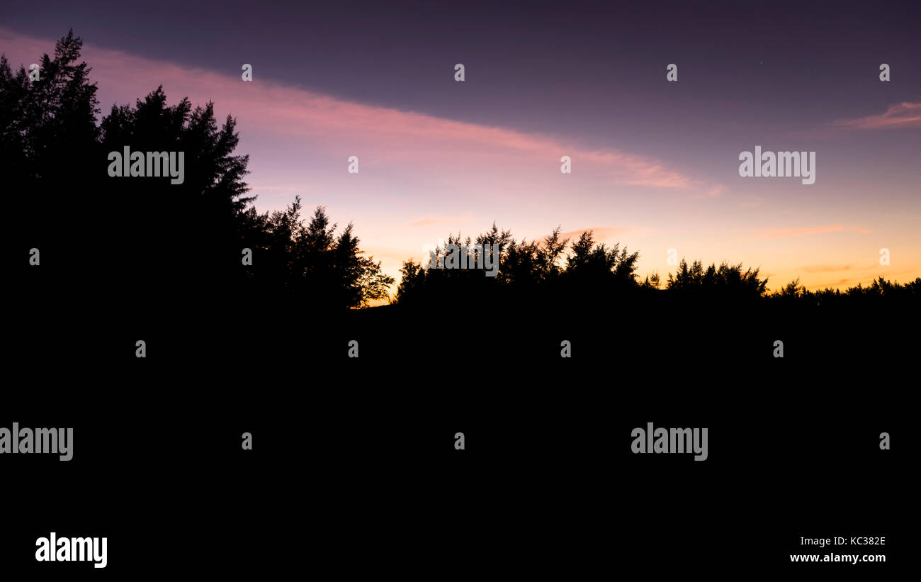 Silhouette di albero su sfondo al tramonto Foto Stock