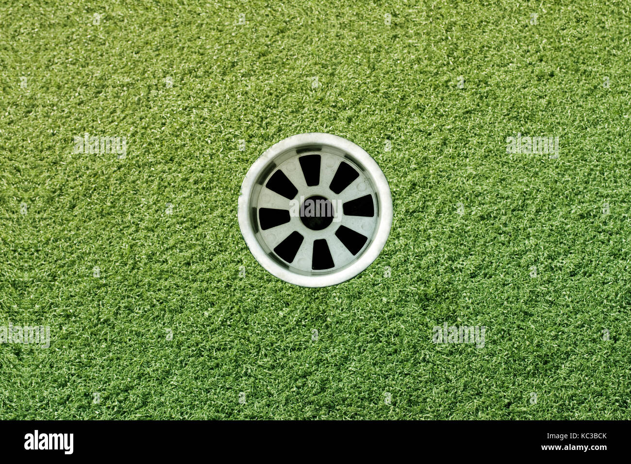 Foro di golf sul green Foto Stock