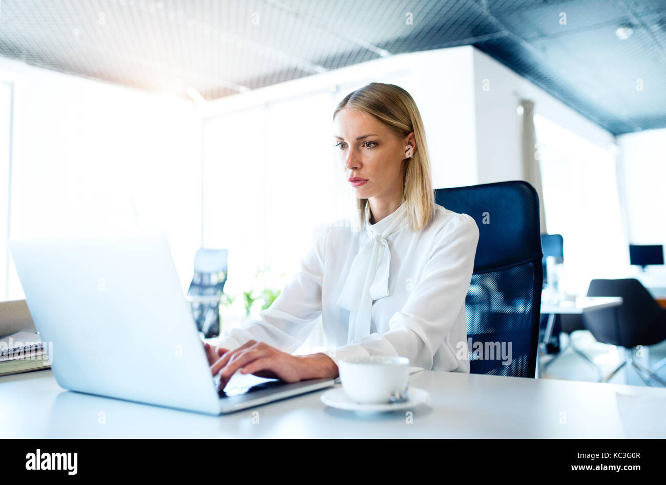 Imprenditrice alla scrivania con computer portatile nel suo ufficio. Foto Stock