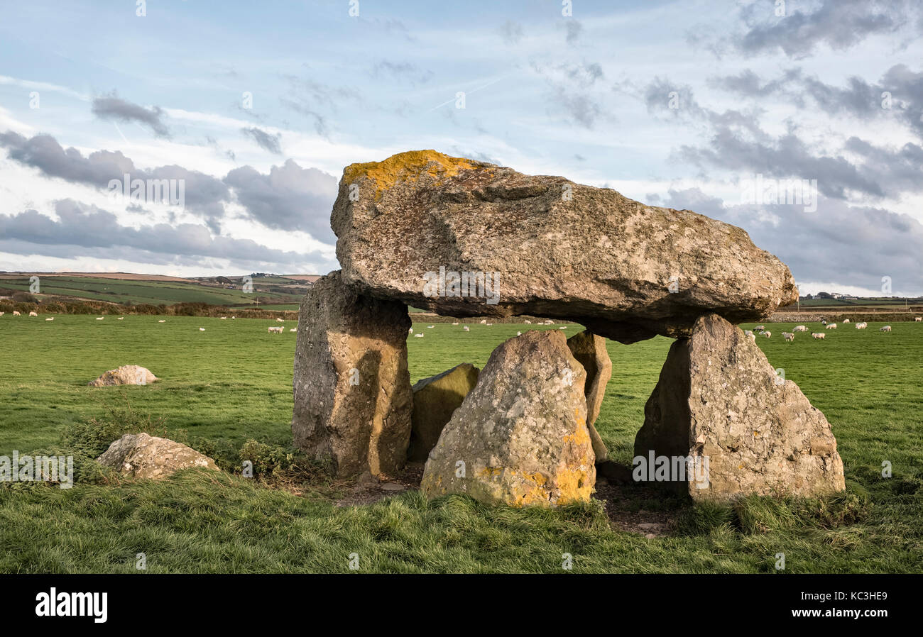 Abercastle, Pembrokeshire, Wales, Regno Unito. Carreg Sansone, un anno 5000 Neolitico antico dolmen o camera di sepoltura. Conosciuta anche come la Longhouse o Sansone della pietra Foto Stock