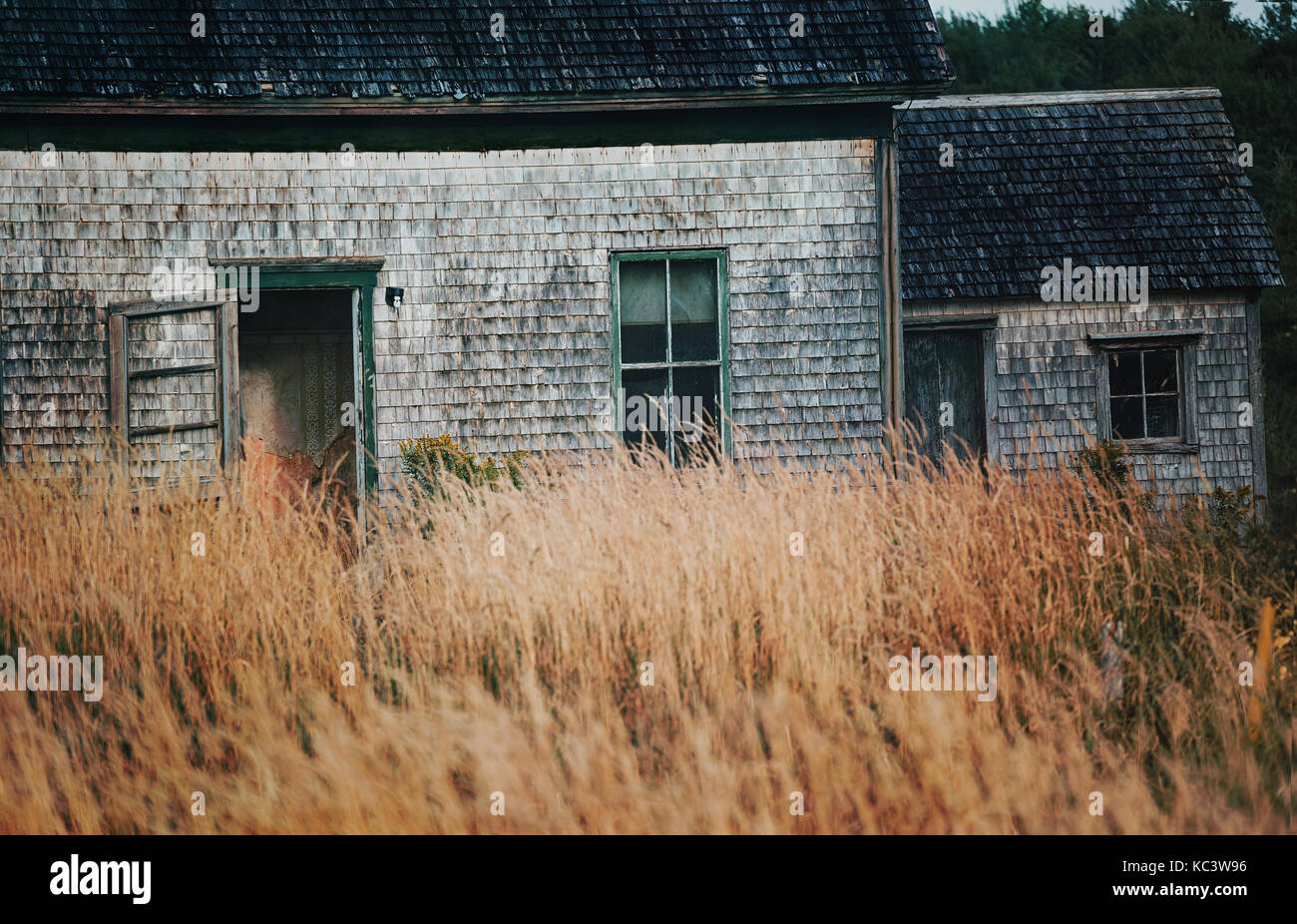 Abbandonato agriturismo nelle zone rurali di Prince Edward Island, Canada. Foto Stock