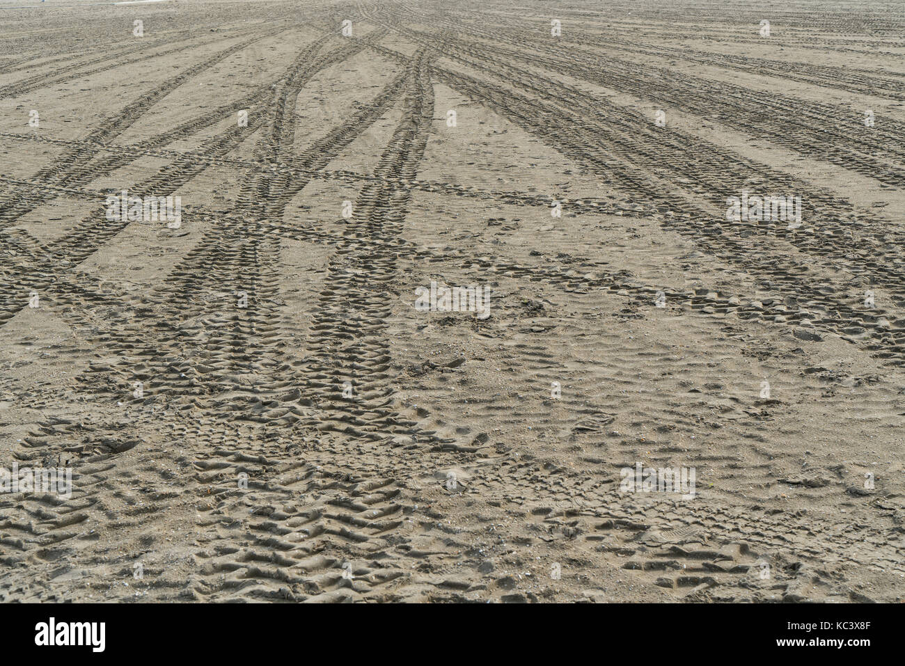 Tracce di pneumatici sulla sabbia della spiaggia Foto Stock