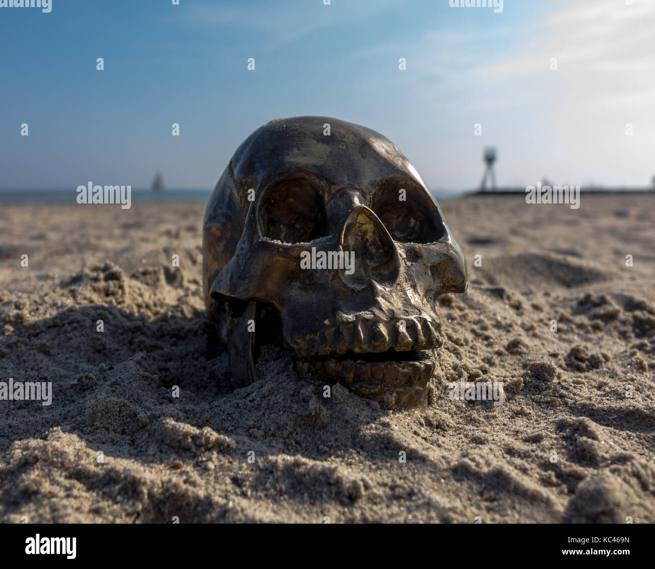 Cranio in sabbia Foto Stock