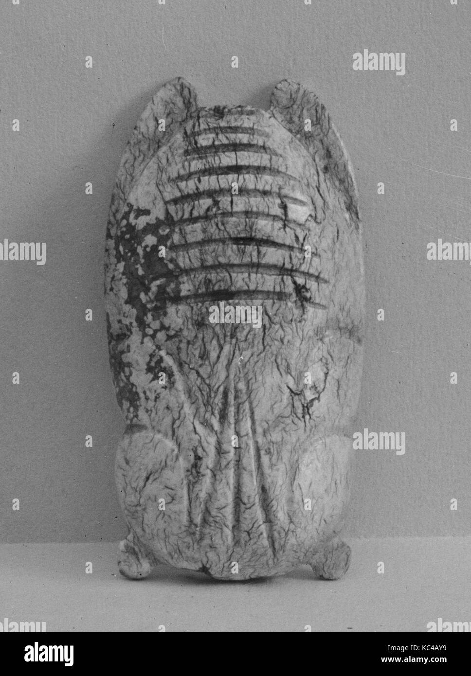 蟬, Cicala, fine della dinastia Qing (1644-1911), fine ottocento e primi del novecento, Cina, Jade (nephrite), H. 1 1/2 in. (3,8 cm); W. 13 Foto Stock