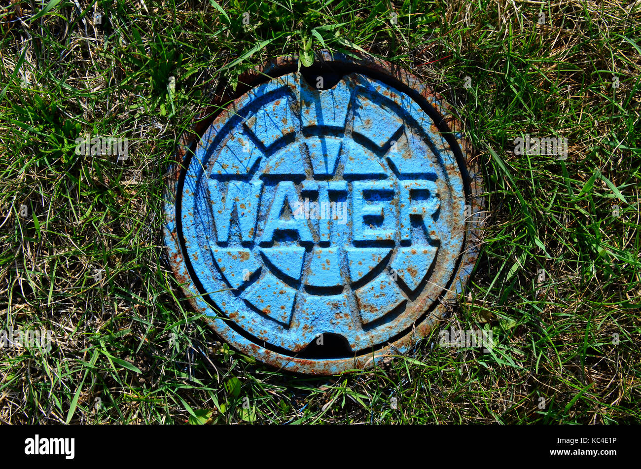 Arrugginimento acqua piastra di copertura della valvola in erba dipinto di blu. Foto Stock
