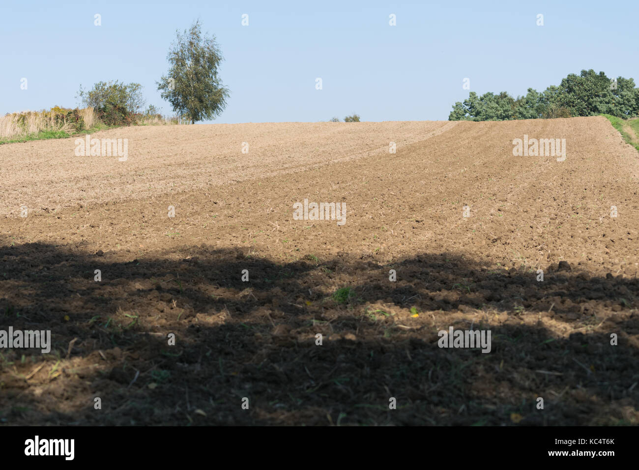 Natura 2000 Głebowic.autunno la semina di granella. Il 2 ottobre 2017. In autunno la semina di grano sotto il raccolto di grano in 2018. Credito: w124merc / Alamy Live News Foto Stock