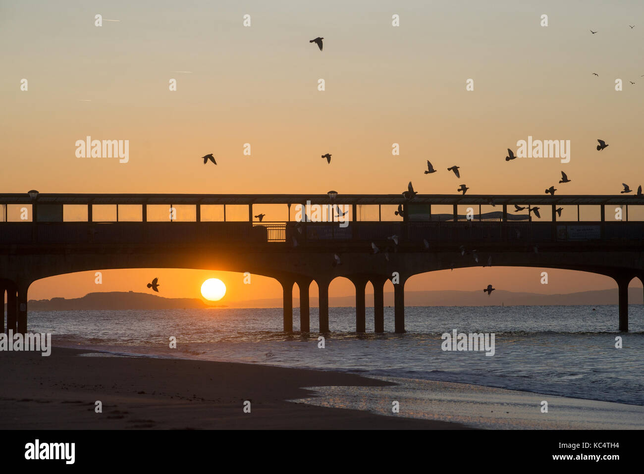 Boscombe Pier, Bournemouth Dorset, Regno Unito, ottobre. Sunrise gloriosa sulla costa sud con uccelli volteggiare il molo sopra la spiaggia. Un brillante inizio soleggiato per un autunno mattina. Foto Stock Boscombe Pier, Bournemouth Dorset, Regno Unito, ottobre. Sunrise gloriosa sulla costa sud con uccelli volteggiare il molo sopra la spiaggia. Un brillante inizio soleggiato per un autunno mattina. Foto Stock