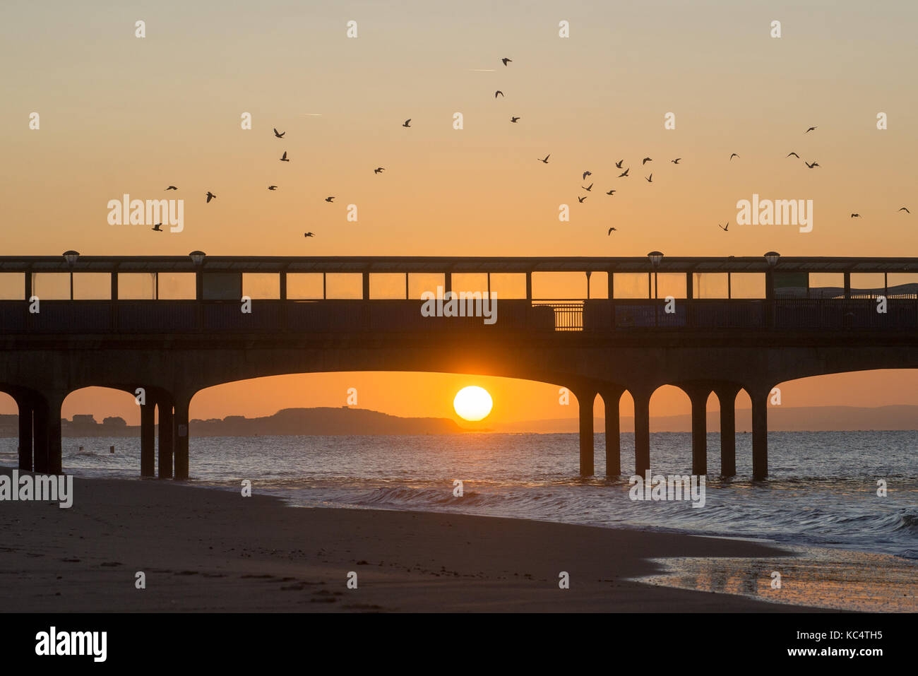 Boscombe Pier, Bournemouth Dorset, Regno Unito, ottobre. Sunrise gloriosa sulla costa sud con uccelli volteggiare il molo sopra la spiaggia. Un brillante inizio soleggiato per un autunno mattina. Foto Stock Boscombe Pier, Bournemouth Dorset, Regno Unito, ottobre. Sunrise gloriosa sulla costa sud con uccelli volteggiare il molo sopra la spiaggia. Un brillante inizio soleggiato per un autunno mattina. Foto Stock