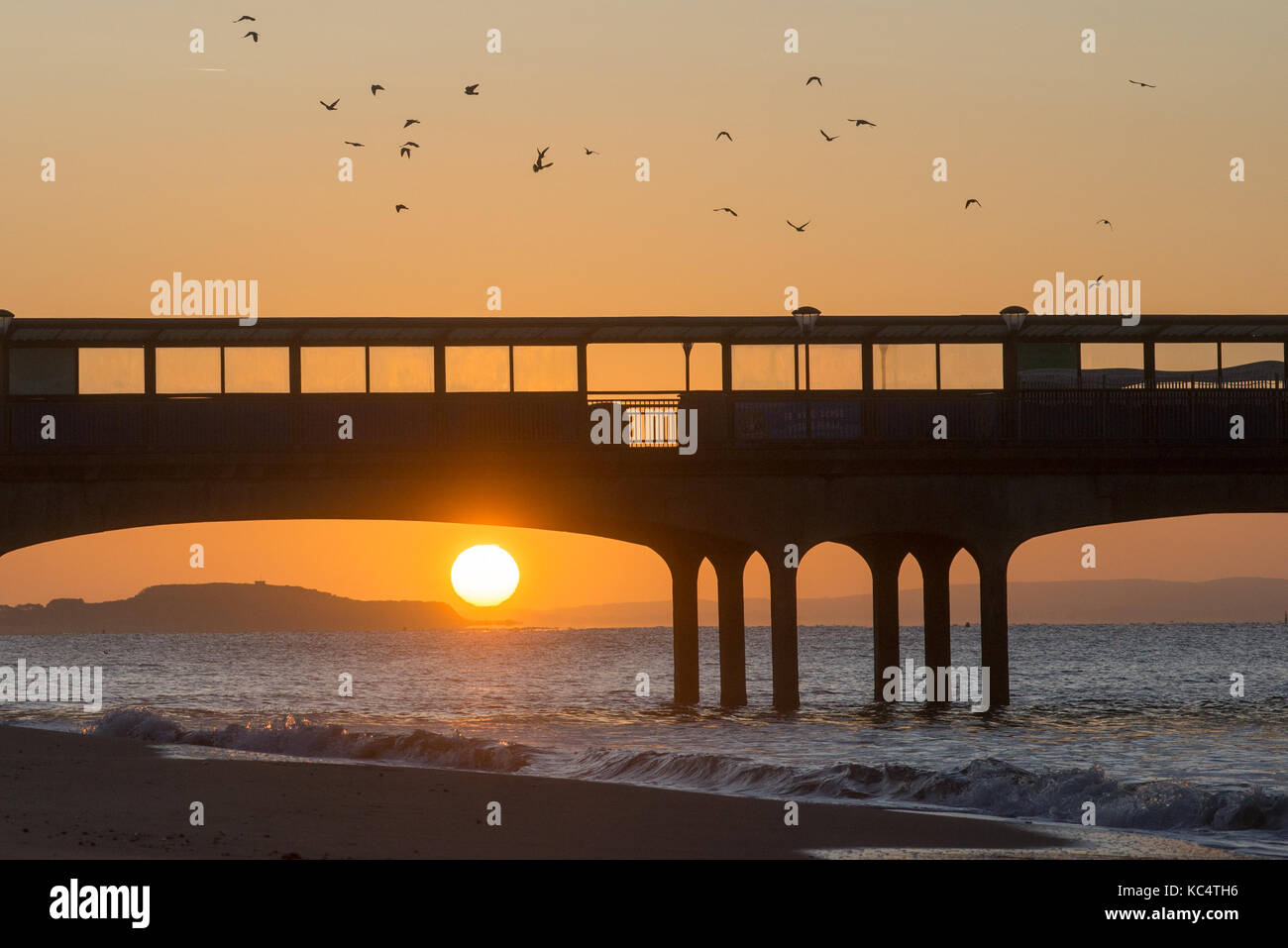 Boscombe Pier, Bournemouth Dorset, Regno Unito, ottobre. Sunrise gloriosa sulla costa sud con uccelli volteggiare il molo sopra la spiaggia. Un brillante inizio soleggiato per un autunno mattina. Foto Stock Boscombe Pier, Bournemouth Dorset, Regno Unito, ottobre. Sunrise gloriosa sulla costa sud con uccelli volteggiare il molo sopra la spiaggia. Un brillante inizio soleggiato per un autunno mattina. Foto Stock