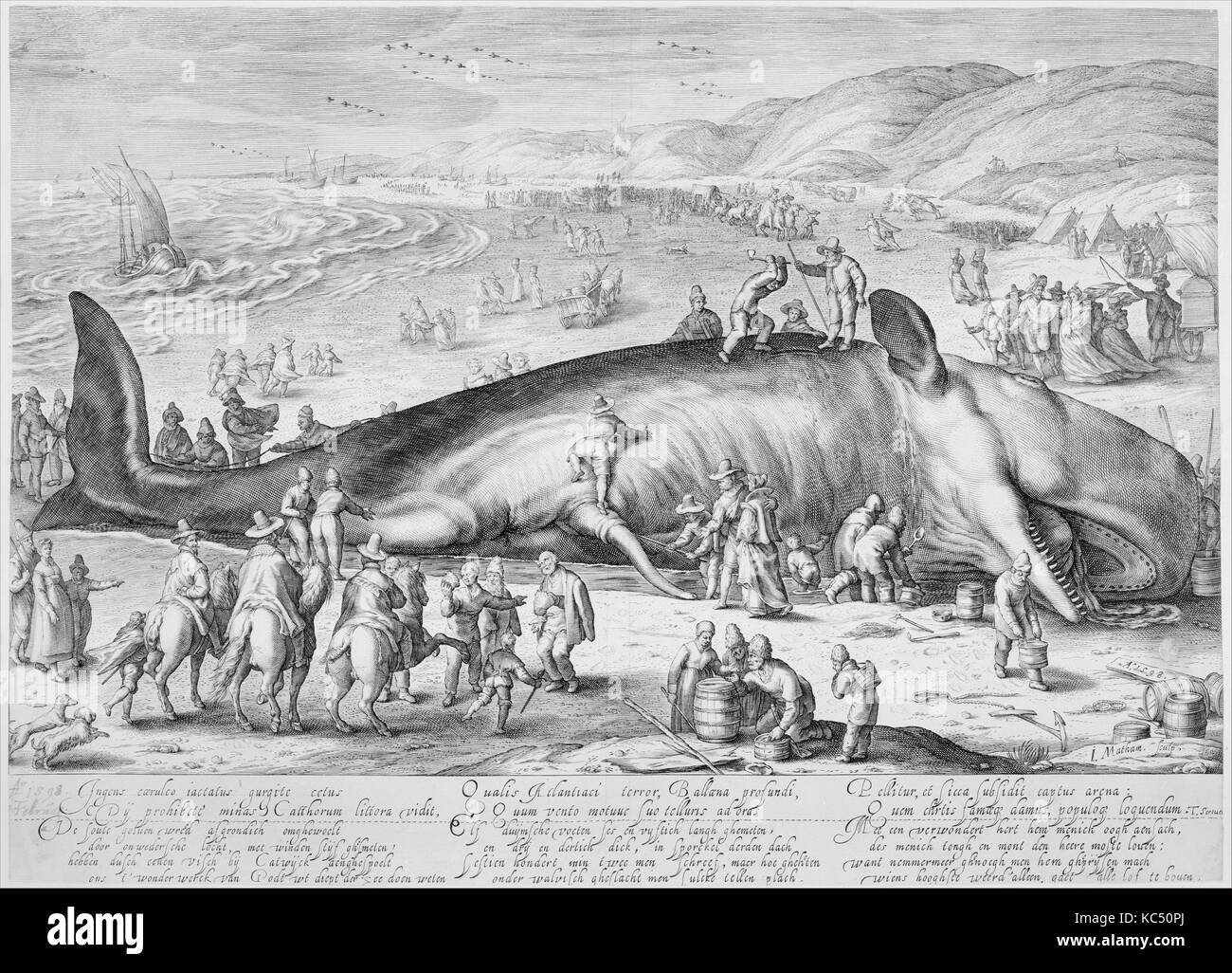 Spiaggiata Balena, 1598, incisione, 12 x 16,75 ', stampe, Jacob Matham (Netherlandish, Haarlem 1571-1631 Haarlem Foto Stock
