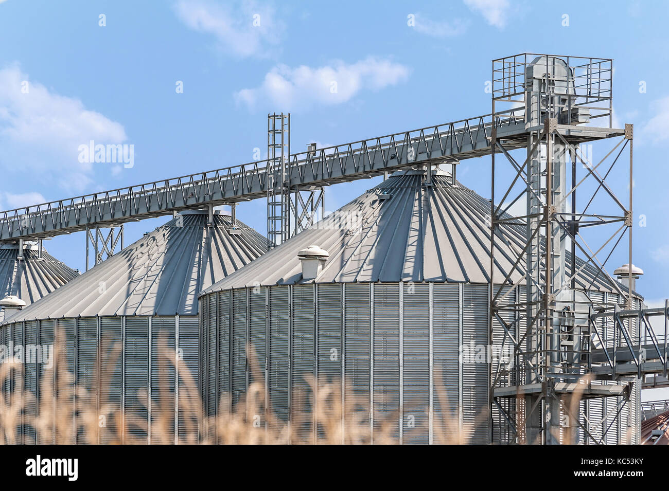 Agricolo di serbatoi di stoccaggio. silos per lo stoccaggio di cereali. campagna scena. Foto Stock