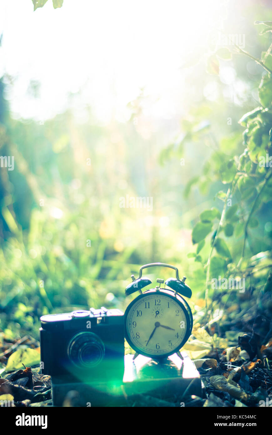 Ora e un libro nel parco sulle foglie, vintage foto, uno stile rétro Foto Stock