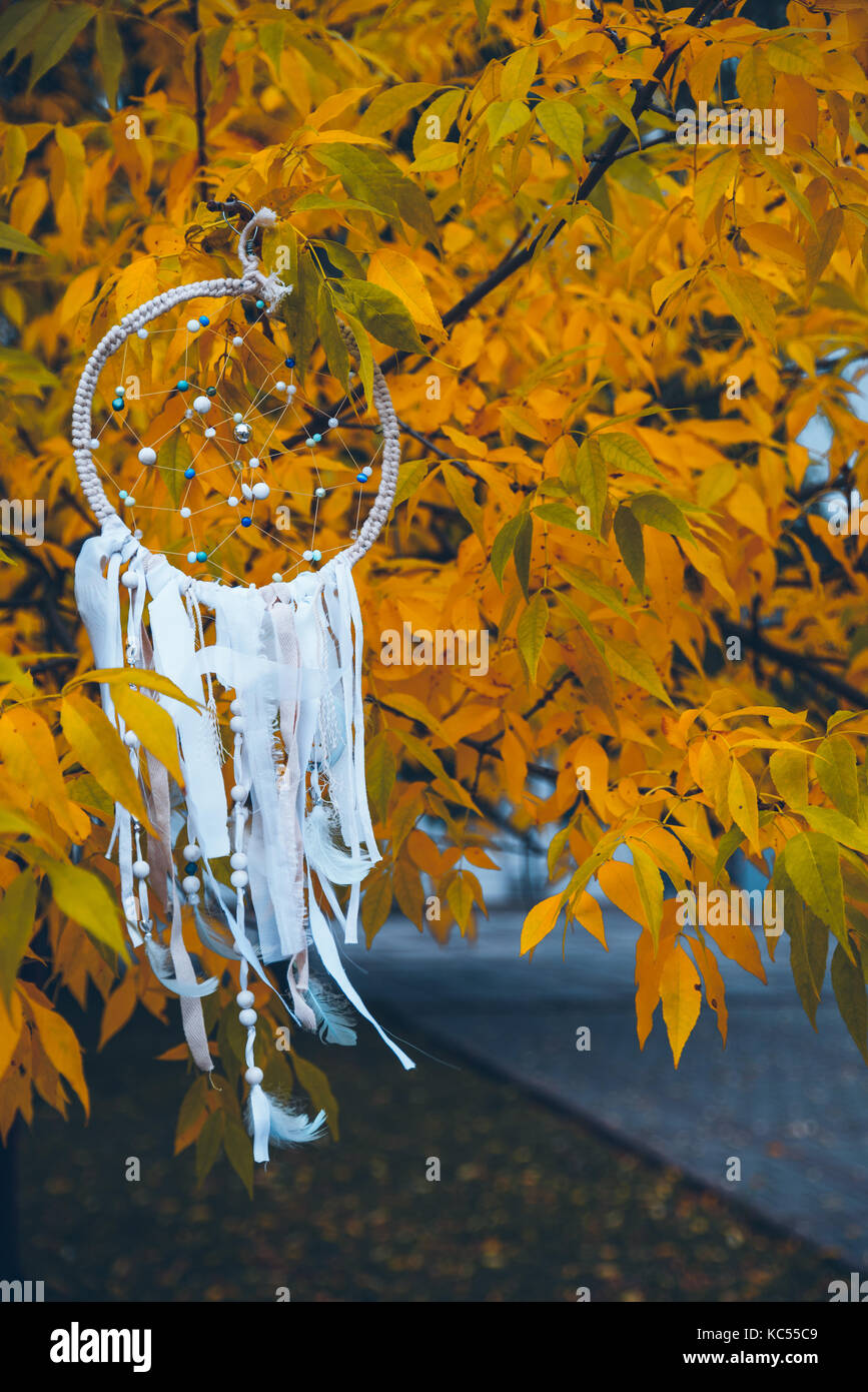 White dreamcatcher su giallo autumn tree close up Foto Stock