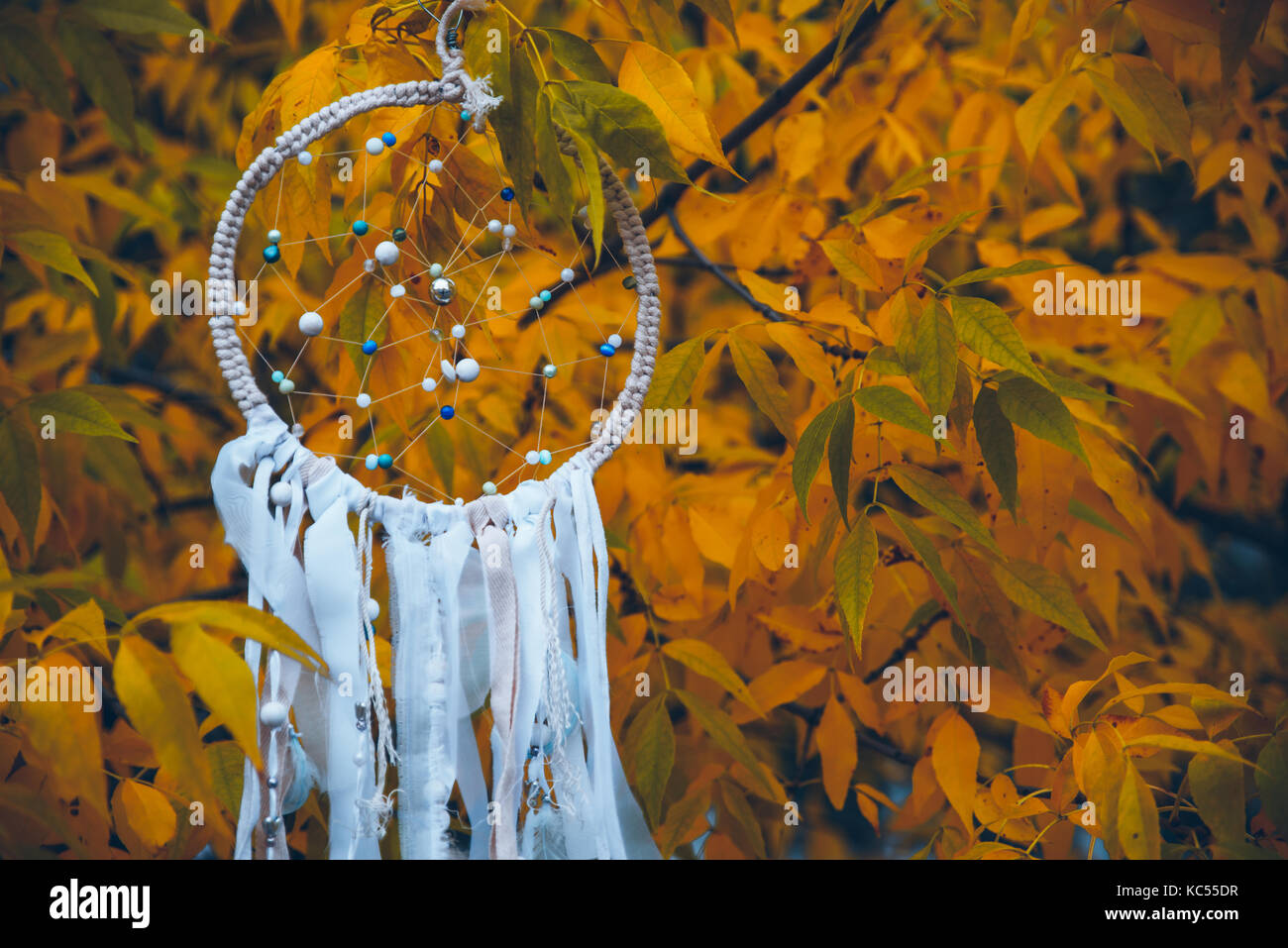 White dreamcatcher su giallo autumn tree close up Foto Stock