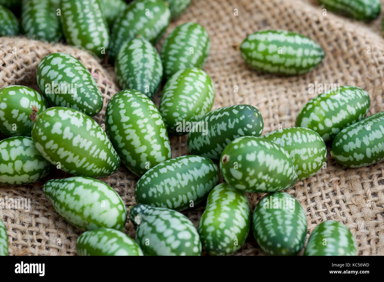 Cucamelon frutta, noto anche come cetriolini messicano, messicano sour cetrioli, o Melothria Scabra su un hessian, sacco di tela sfondo Foto Stock