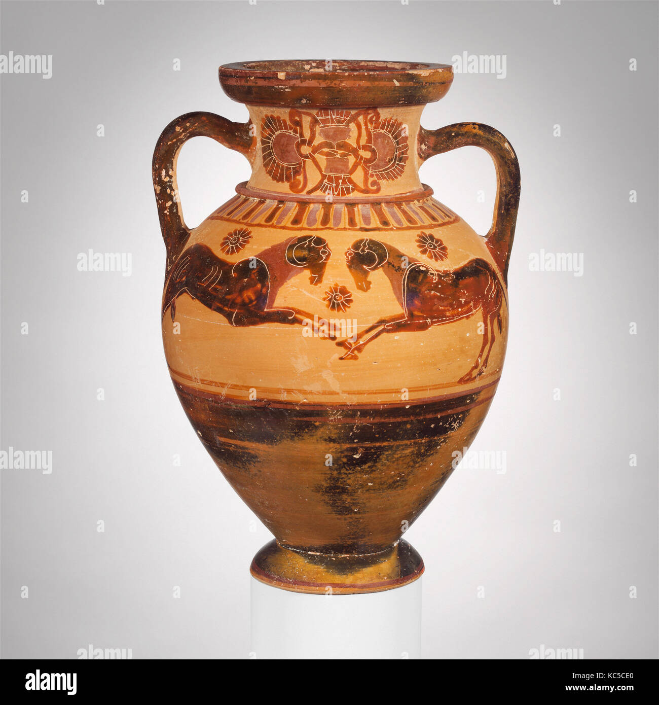 Collo di terracotta-anfora (storage jar), ca. 570-560 A.C. Foto Stock