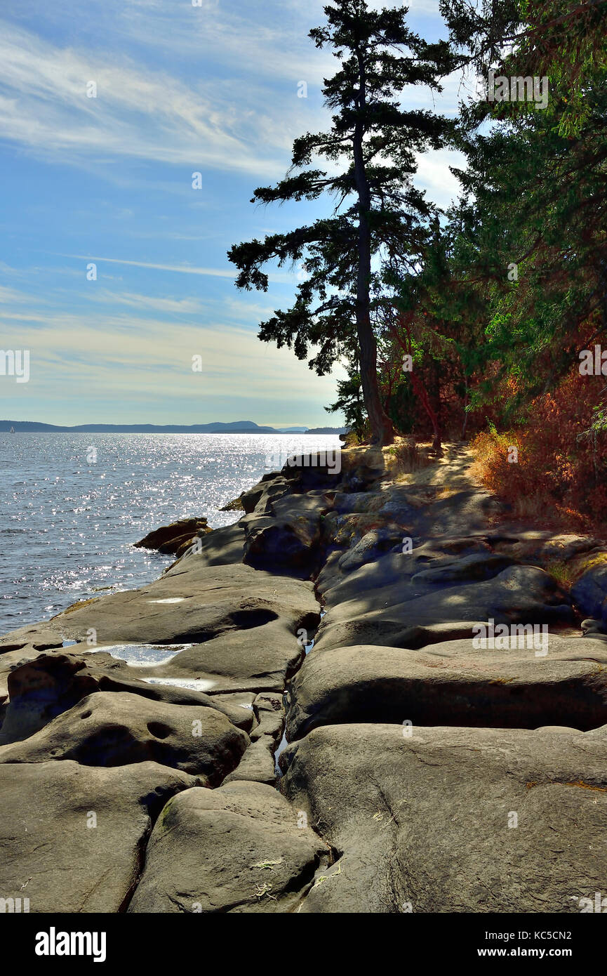 Un paesaggio verticale immagine della spiaggia rocciosa a Roberts Memorial Park vicino a Cedar sull'Isola di Vancouver, British Columbia, Canada. Foto Stock