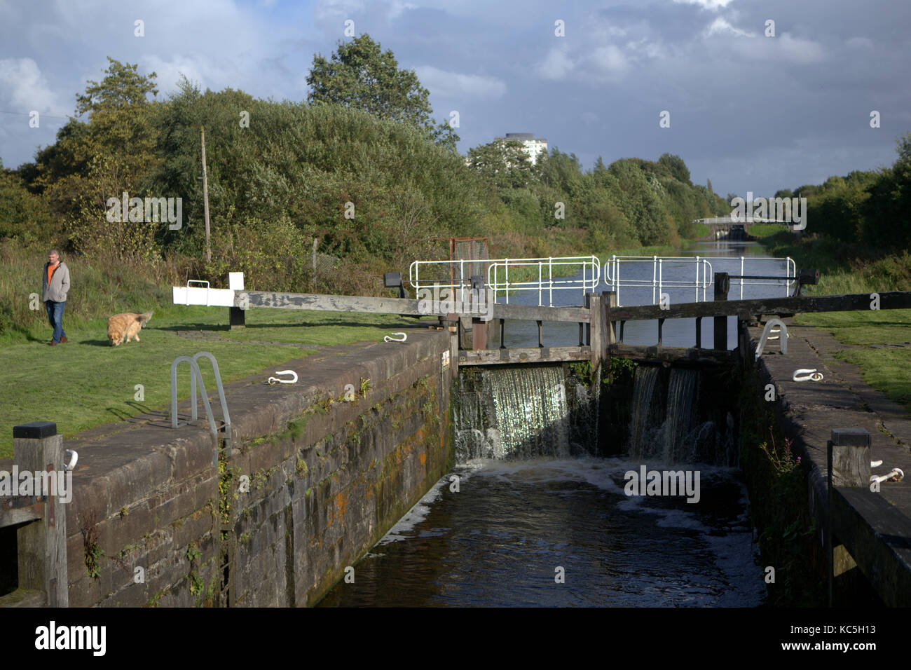 Forth and Clyde Canal uomo e cane da passeggio Golden retriever a tBoghouse Lock No 36 NCR754, Glasgow, Glasgow City, Scozia Foto Stock